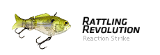 rattling revolution