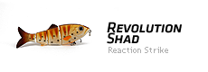 revolution shad