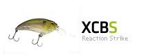 XCBS