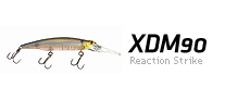 XDM