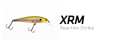 XRM