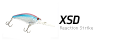 XSD